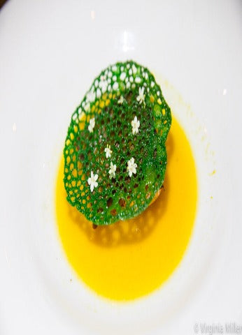Coral Tuile Green
