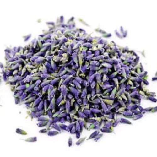 Dried Lavender Flower