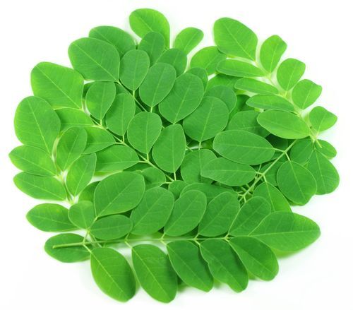 Dried Moringa Leaves