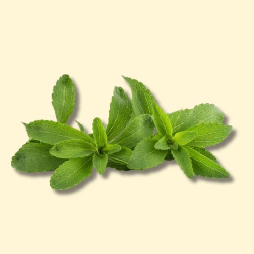 Dried Organic Stevia