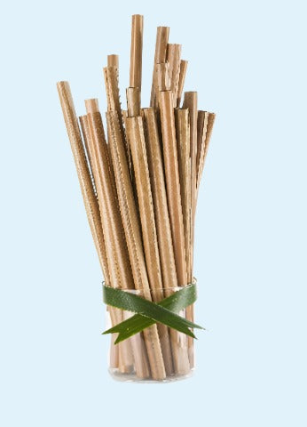 Bamboo Regular Straw
